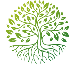 Polyvagal Theory in Clinical Practice