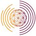 Somatic Experiencing® International