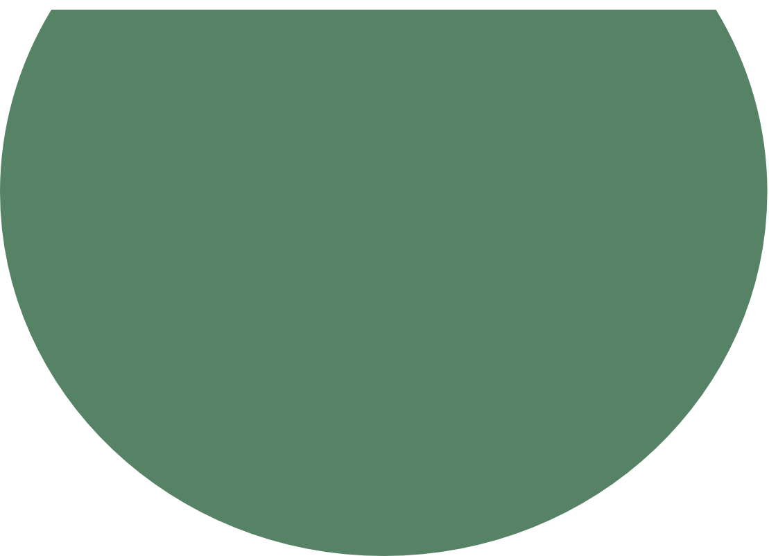 Somatic Experiencing® International