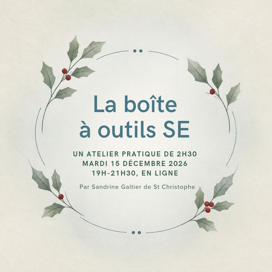 Visuel de l’atelier « La boîte à outils SE » du 15 décembre 2026, organisé par l’APFSE